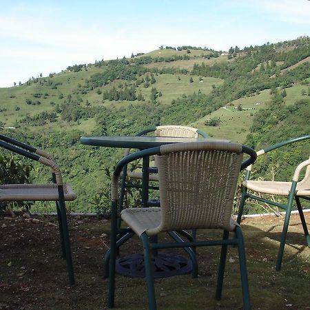 Winlu Vacation Farm Villa Ren'ai Eksteriør billede