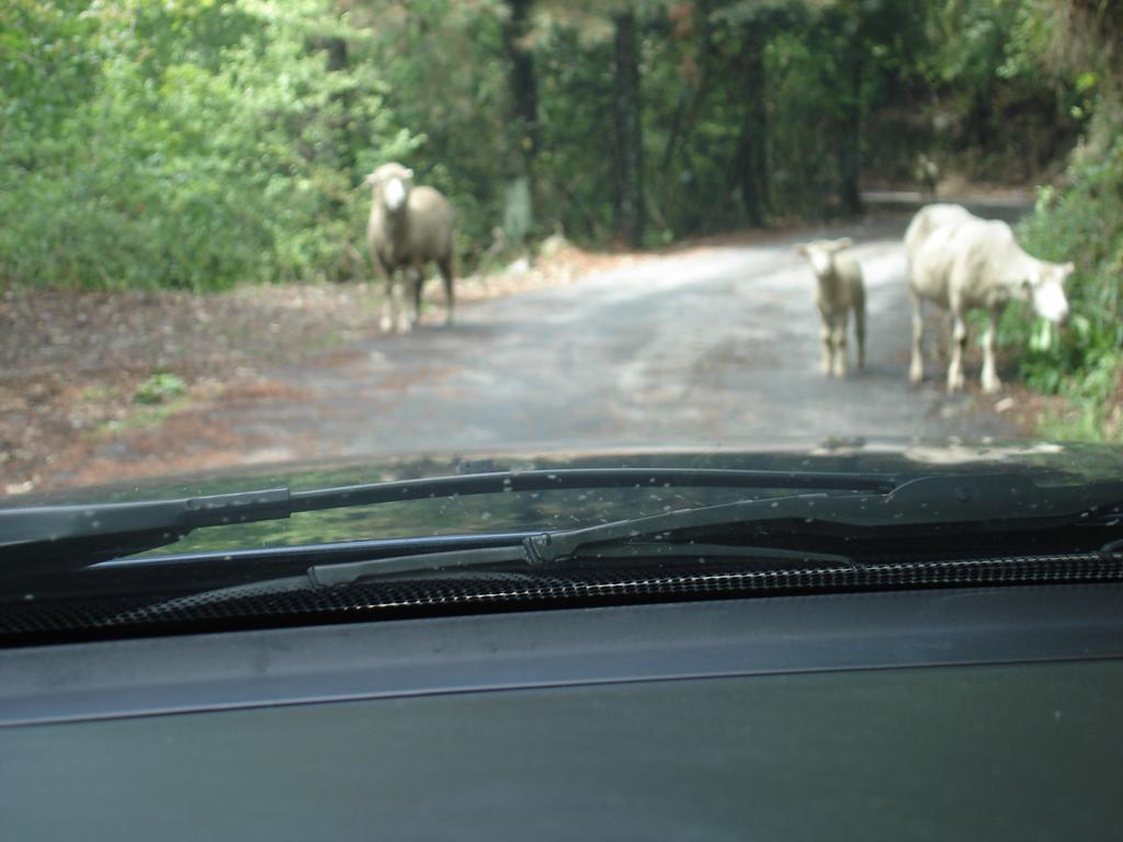 Winlu Vacation Farm Villa Ren'ai Eksteriør billede